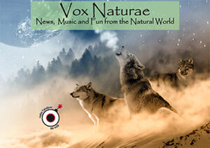 Vox Naturae